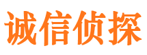 高平侦探